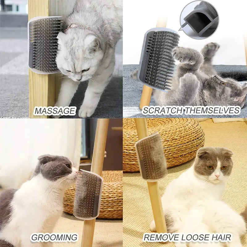 Cepillo rascador para gatos sin pelo.