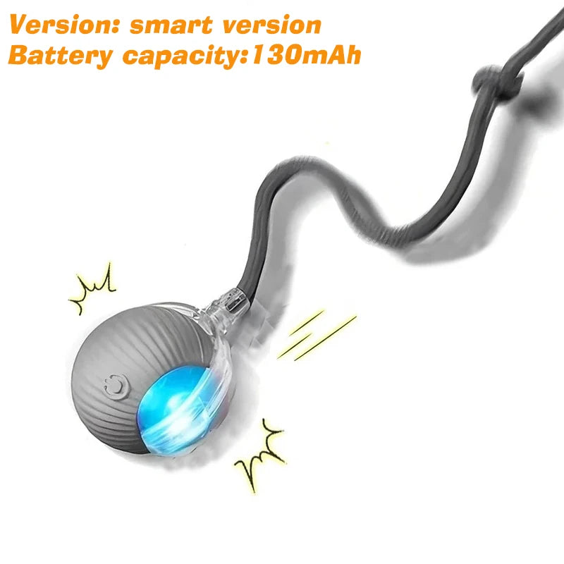 PurrPlay Smart Cat Ball