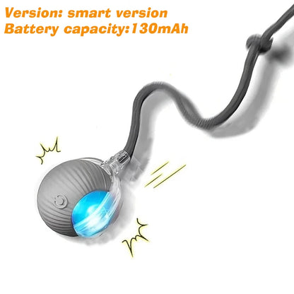PurrPlay Smart Cat Ball