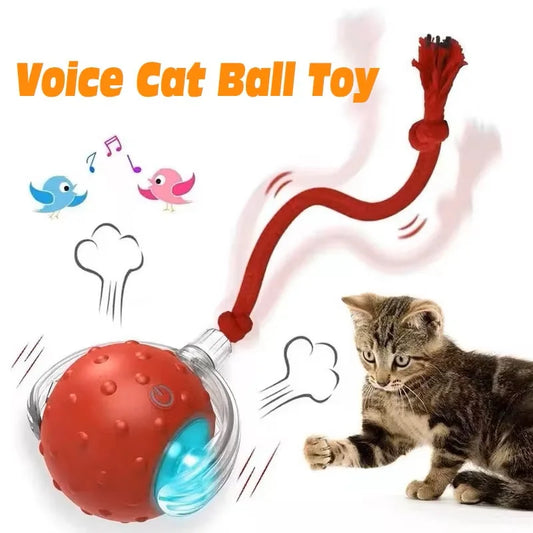 PurrPlay Smart Cat Ball