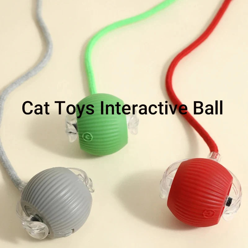 PurrPlay Smart Cat Ball