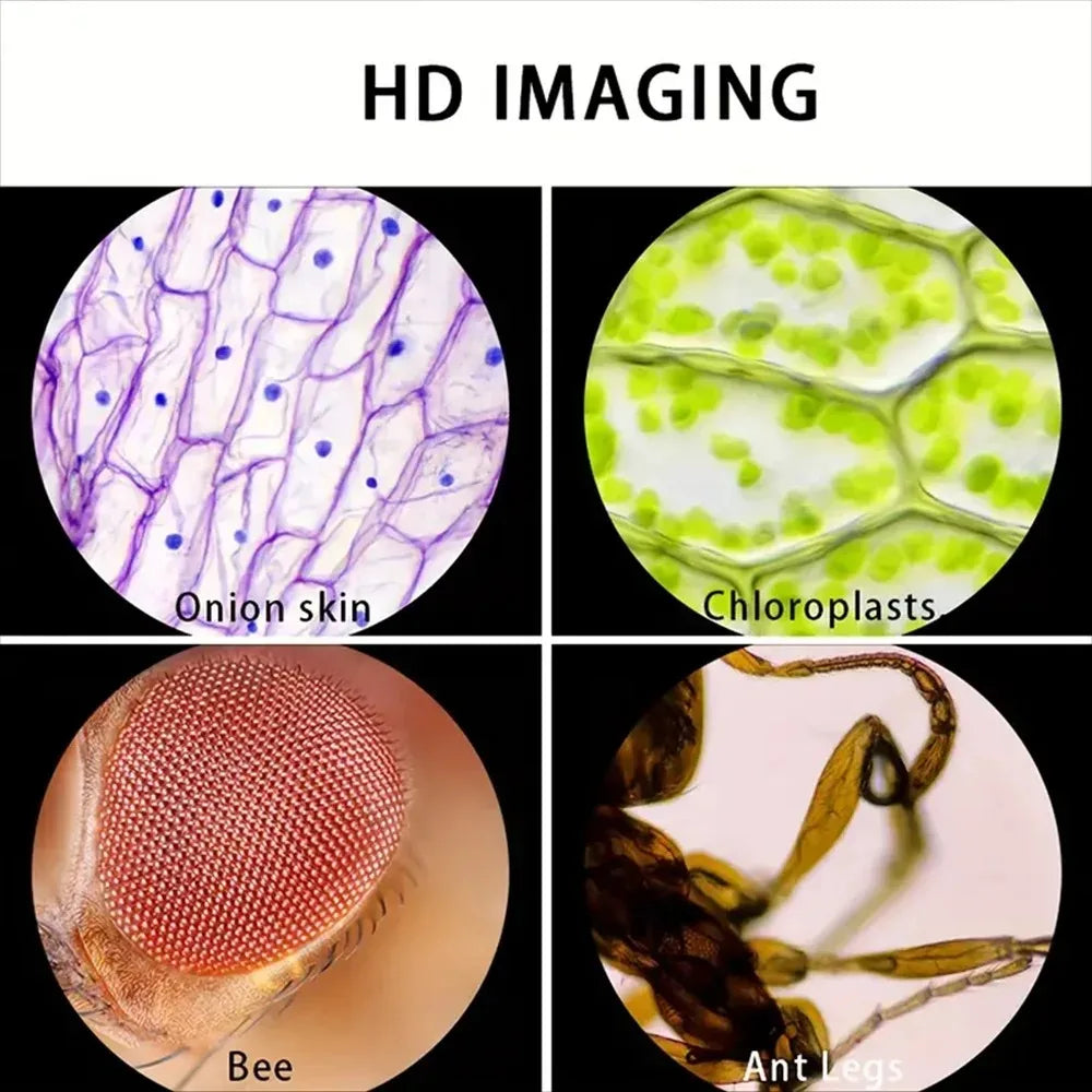MicroQuest Handheld Microscope 60–120x for Kids