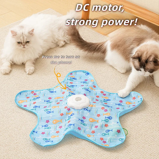 Purrfect Hide & Seek Cat Toy.