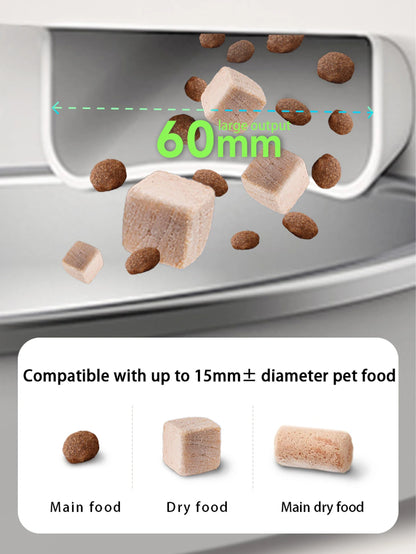 CatVision Intelligent Feeding System