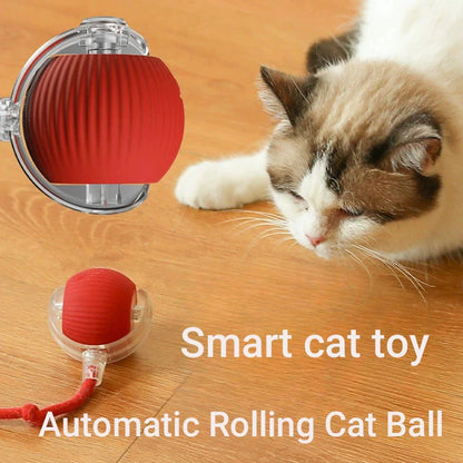 PurrPlay Smart Cat Ball