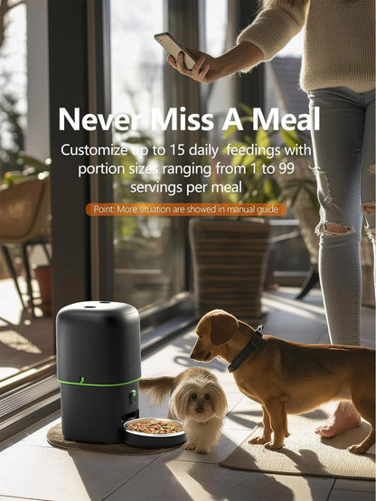 CatVision Intelligent Feeding System
