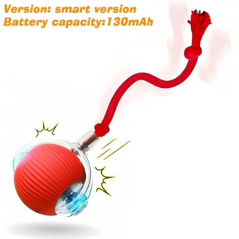 PurrPlay Smart Cat Ball