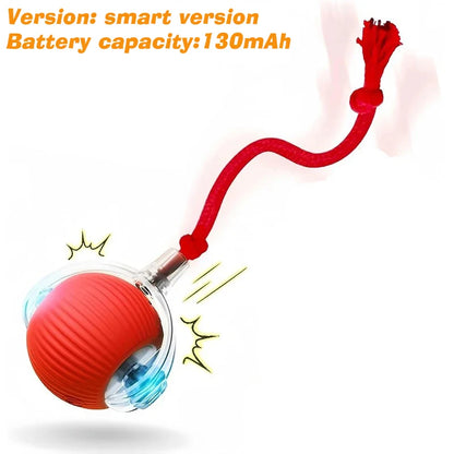 PurrPlay Smart Cat Ball