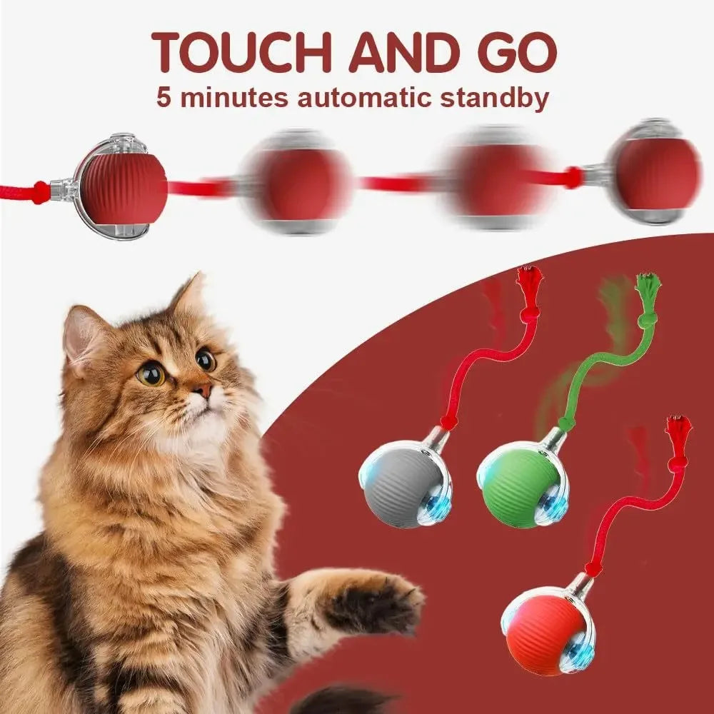 PurrPlay Smart Cat Ball