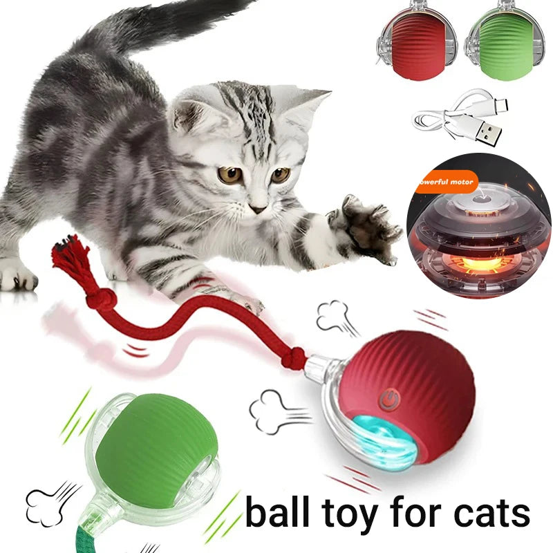 PurrPlay Smart Cat Ball