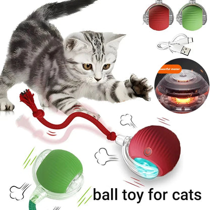 PurrPlay Smart Cat Ball