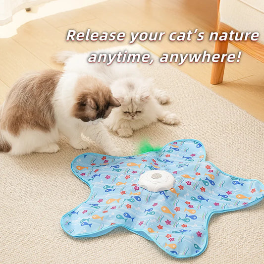 Purrfect Hide & Seek Cat Toy.