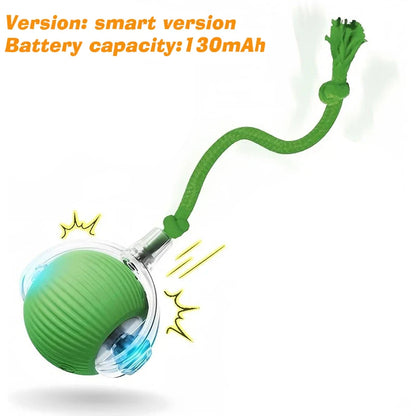 PurrPlay Smart Cat Ball
