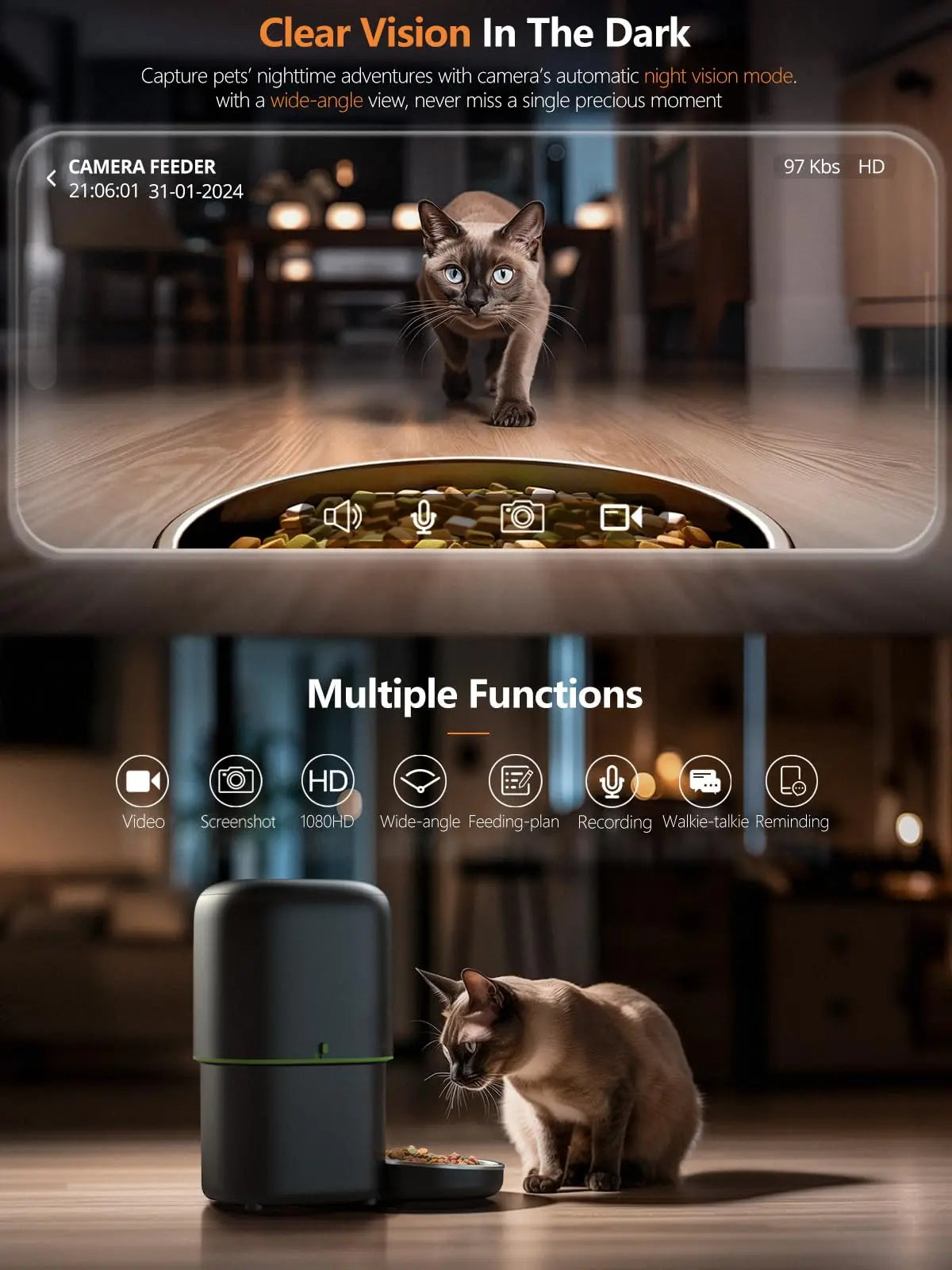 CatVision Intelligent Feeding System